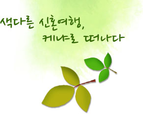 색다른 신혼여행, 

        케냐로 떠나다

