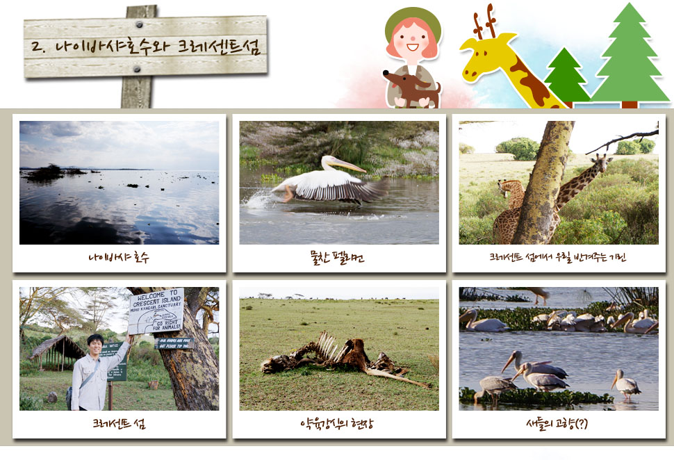 2. 나이바샤호수와 크레센트섬

나이바샤 호수,물찬 펠리컨,크레센트 섬에서 우릴 반겨주는 기린,크레센트 섬,먹이사슬,새들의 고향(?)