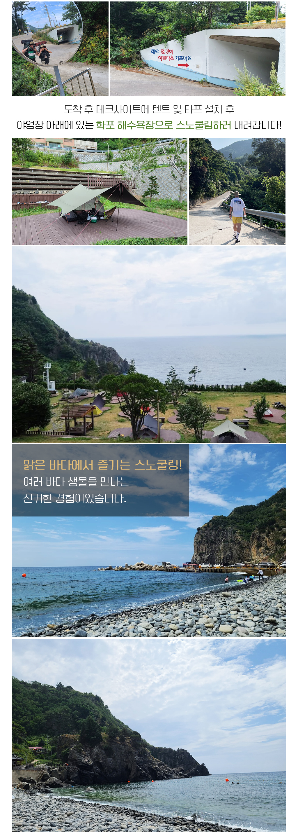도착 후 데크사이트에 텐트 및 타프 설치 후 야영장 아래에 있는 학포 해수욕장으로 스노쿨링하러 내려갑니다!,맑은 바다에서 즐기는 스노쿨링! 여러 바다 생물을 만나는 신기한 경험이었습니다.