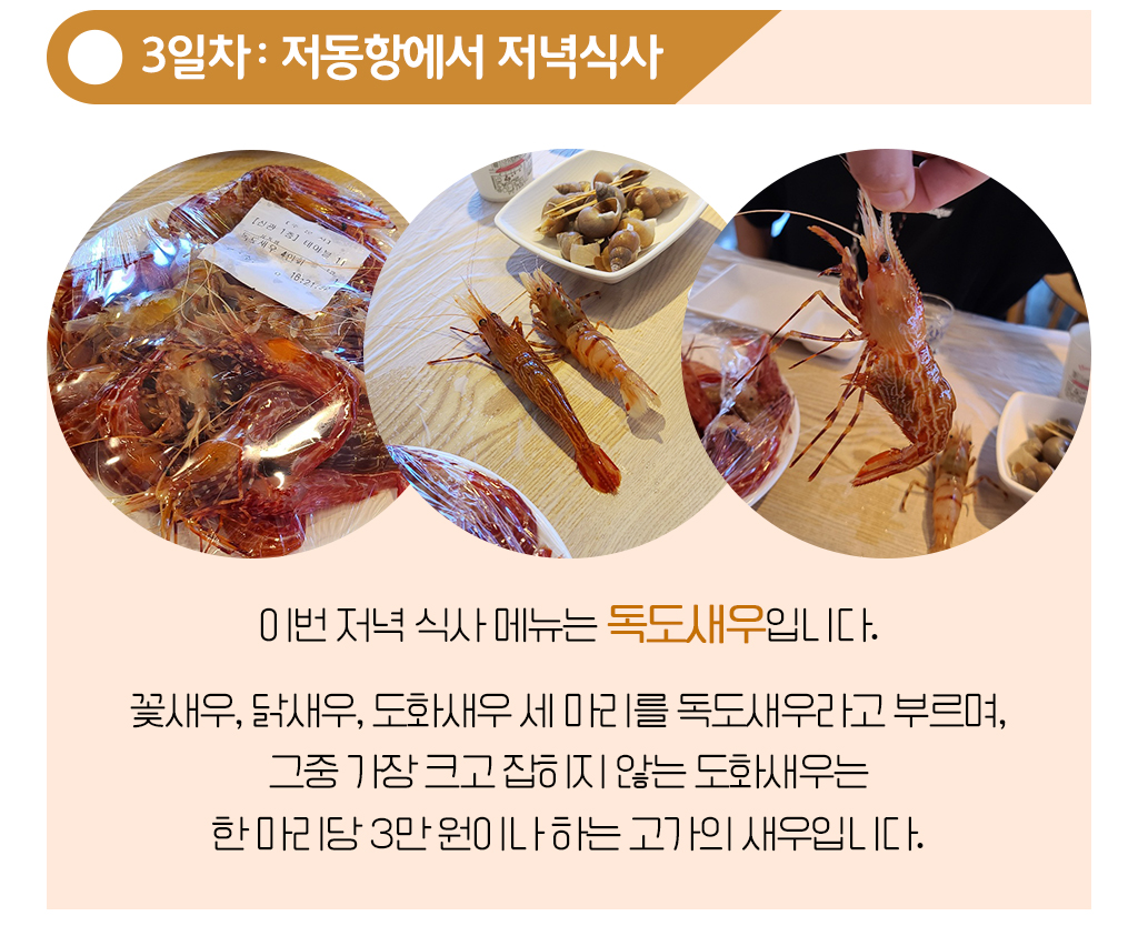 저동항애서 저녁식사,이번 저녁 식사 메뉴는 독도새우입니다. 꽃새우, 닭새우, 도화새우 세 마리를 독도새우라고 부르며, 그중 가장 크고 잡히지 않는 도화새우는 한 마리당 3만 원이나 하는 고가의 새우입니다. 
