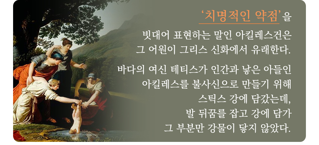 ‘치명적인 약점’을 빗대어 표현하는 말인 아킬레스건은 그 어원이 그리스 신화에서 유래한다. 바다의 여신 테티스가 인간과 낳은 아들인 아킬레스를 불사신으로 만들기 위해 스틱스 강에 담갔는데, 발 뒤꿈를 잡고 강에 담가 그 부분만 강물이 닿지 않았다. 