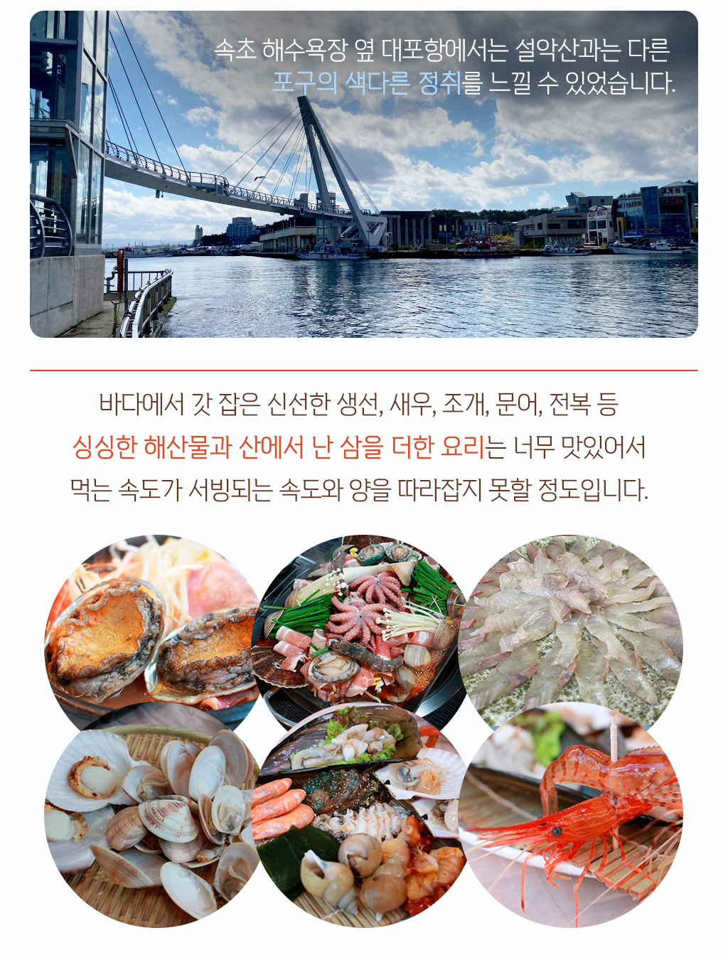 사진 / 속초 해수욕장 옆 대포항에서는 설악산과는 다른 포구의 색다른 정취를 느낄 수 있었습니다. / 바다에서 갓 잡은 신선한 생선, 새우, 조개, 문어, 전복 등 싱싱한 해산물과 산에서 난 삼을 더한 요리는 너무 맛있어서 먹는 속도가 서빙되는 속도와 양을 따라잡지 못할 정도입니다. 