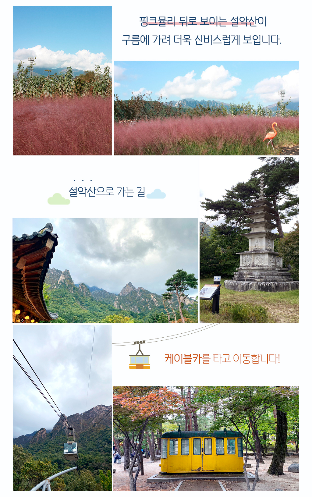 사진 / 핑크뮬리 뒤로 보이는 설악산이 구름에 가려 더욱 신비스럽게 보입니다. / 사진 / 설악산으로 가는 길/ 케이블카를 타고 이동합니다. 
