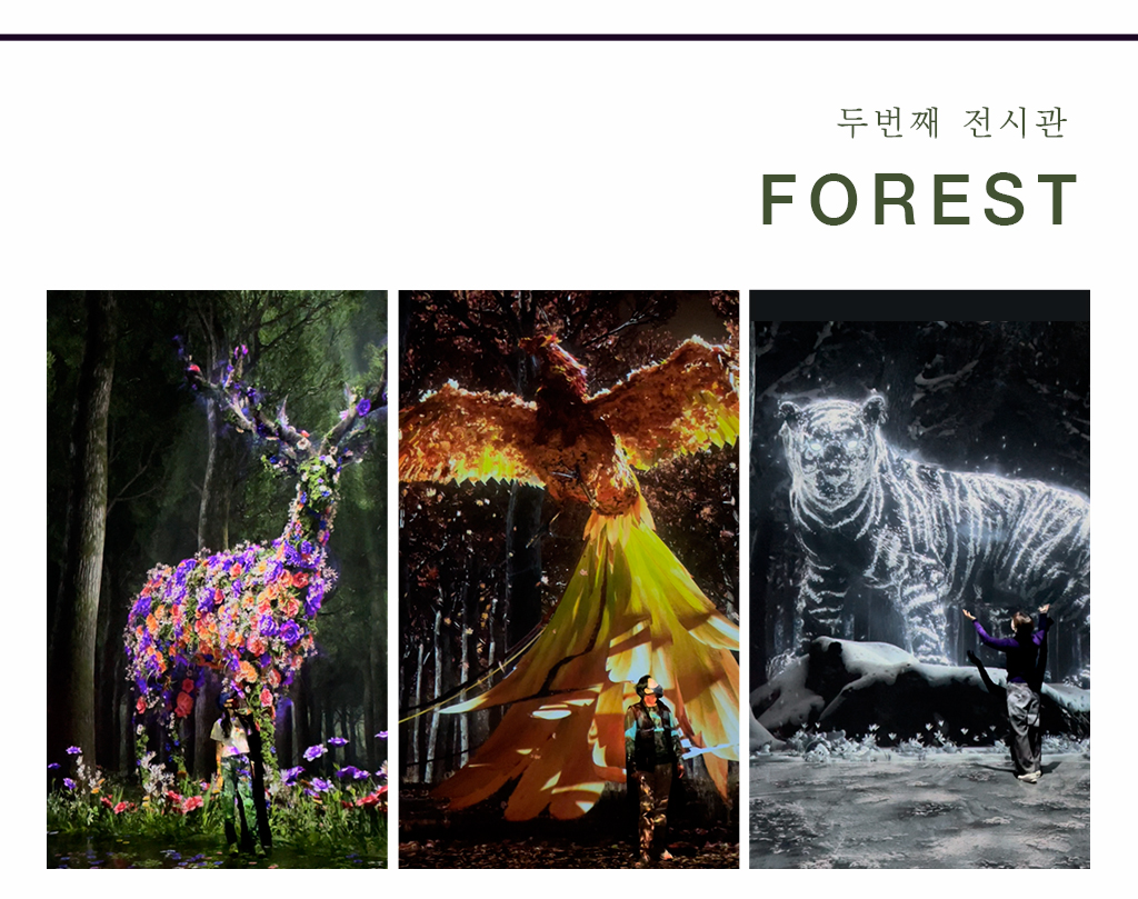두번째 전시관 forest