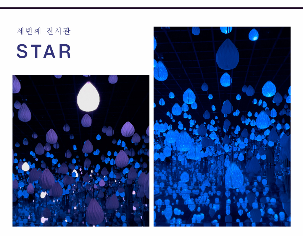 세번째 전시관 star