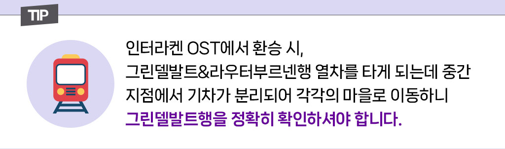 tip. 인터라켄 OST에서 환승 시 그린델발트&라우터부르넨행 열차를 타게 되는데 중간 지점에서 기차가 분리되어 각각의 마을로 이동하니 그린델발트행을 정확히 확인하셔야 합니다.