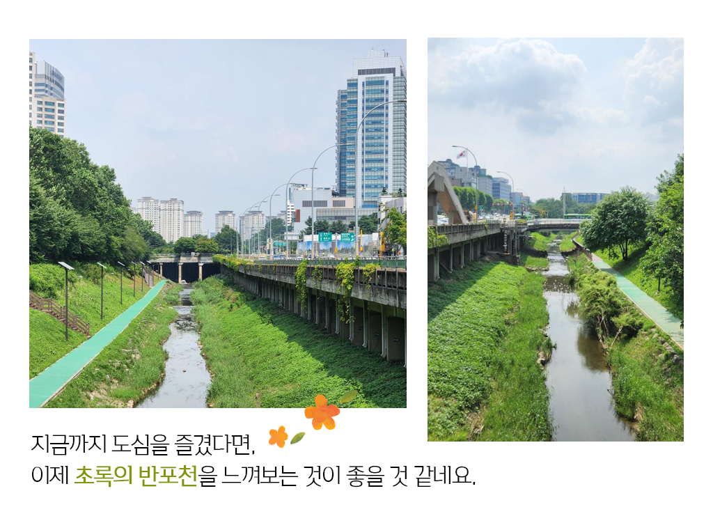 지금까지 도심을 즐겼다면, 이제 초록의 반포천을 느껴보는 것이 좋을 것 같네요.