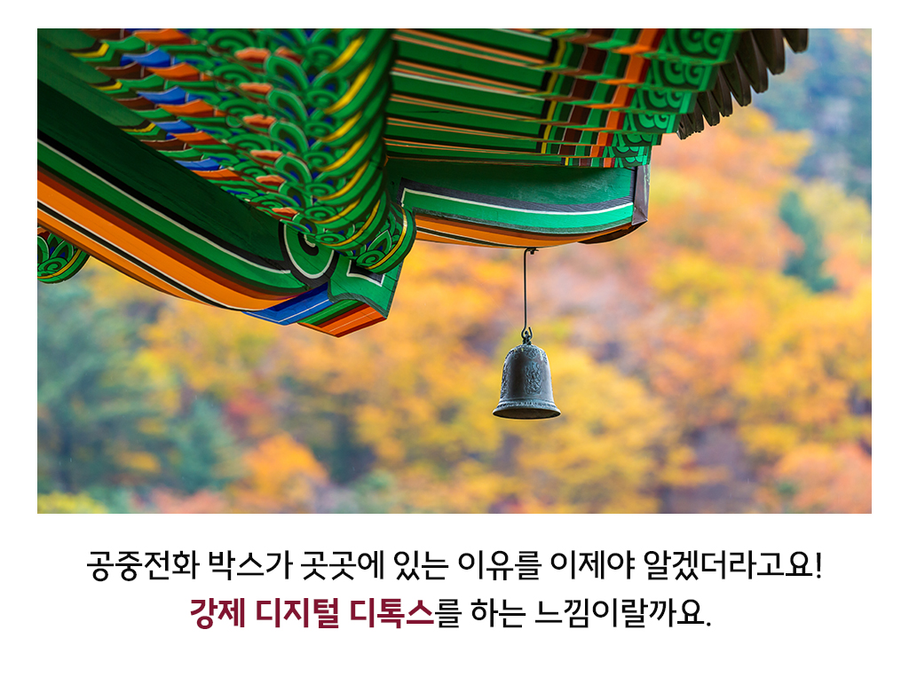 공중전화 박스가 곳곳에 있는 이유를 이제야 알겠더라고요! 강제 디지털 디톡스를 하는 느낌이랄까요. 