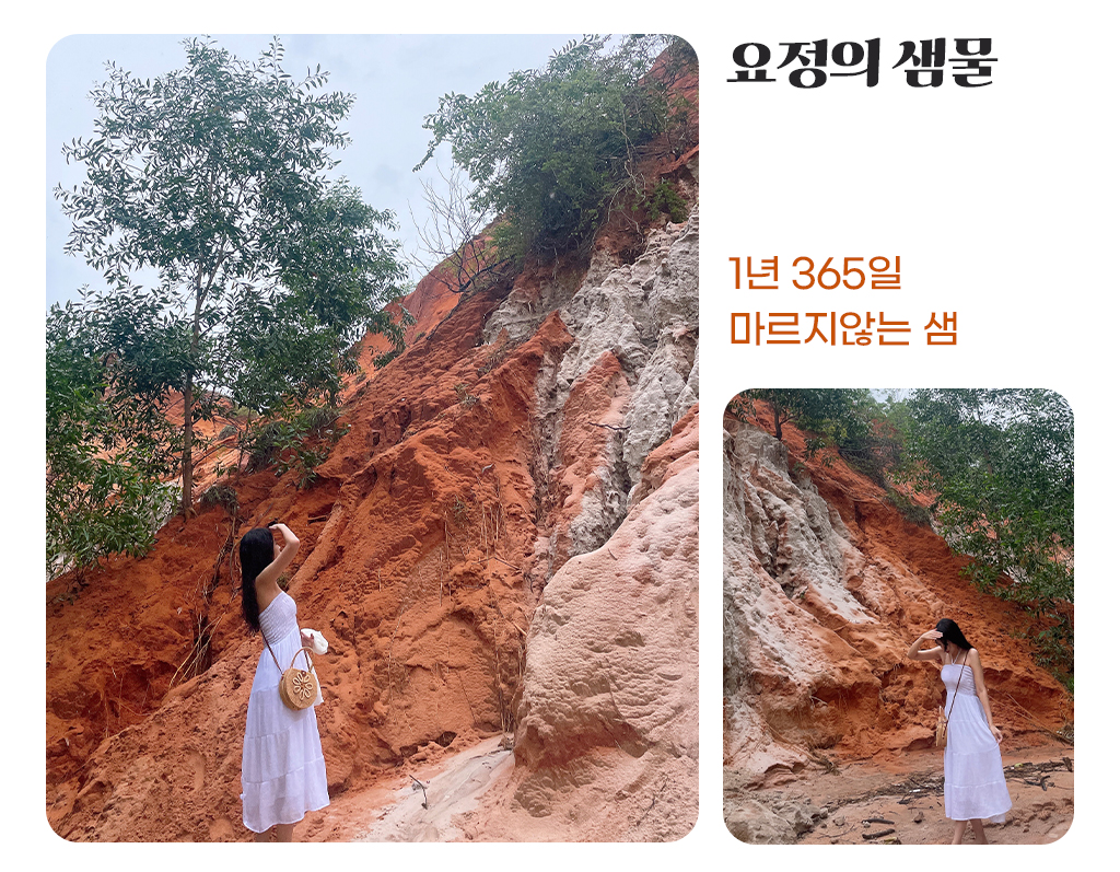 요정의 샘물 : 1년 365일 마르지 않는 샘