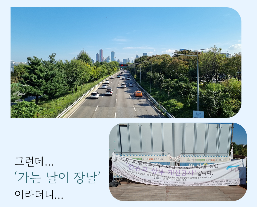 그런데... '가는 날이 장날'이라더니...