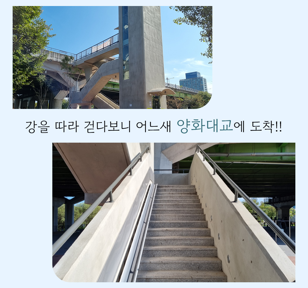 강을 따라 걷다보니 어느새 양화대교에 도착!!
