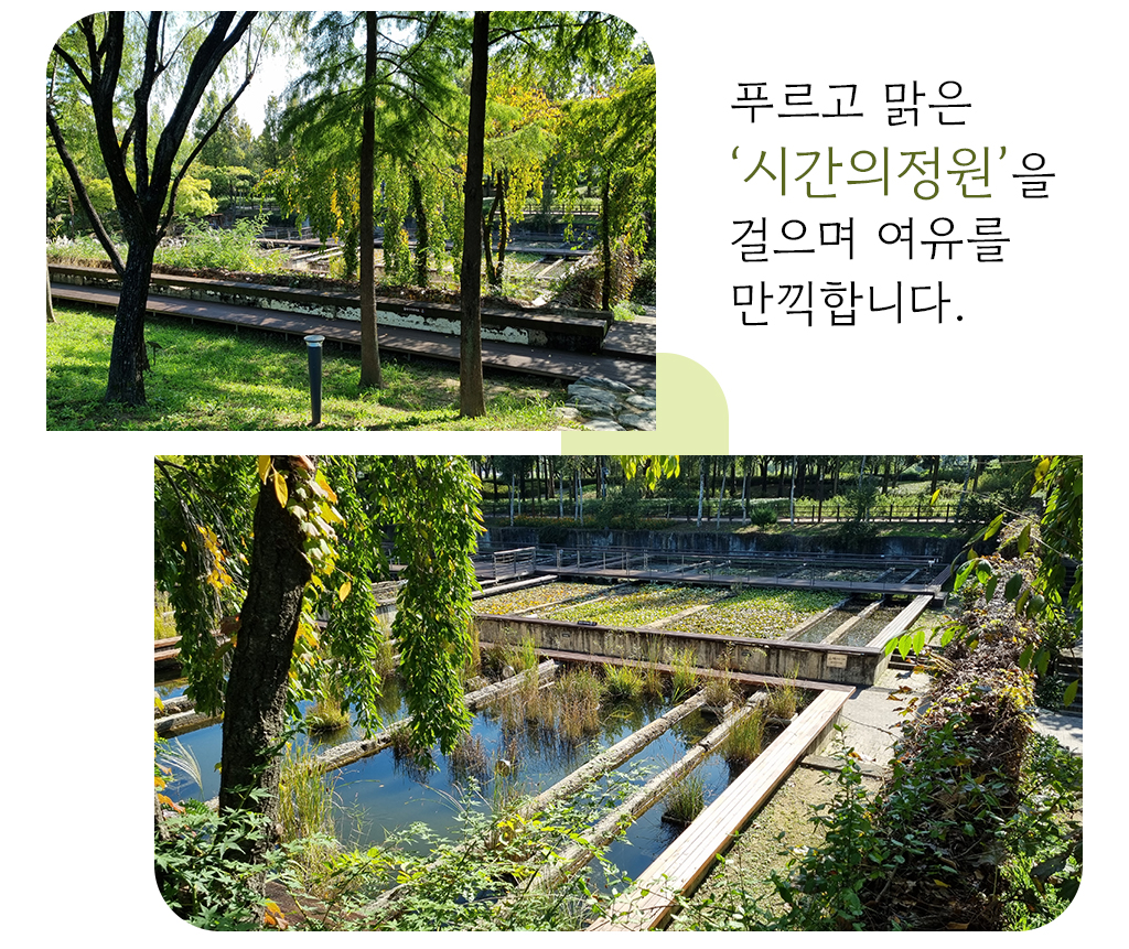푸르고 맑은 '시간의 정원'을 걸으며 여유를 만끽합니다.