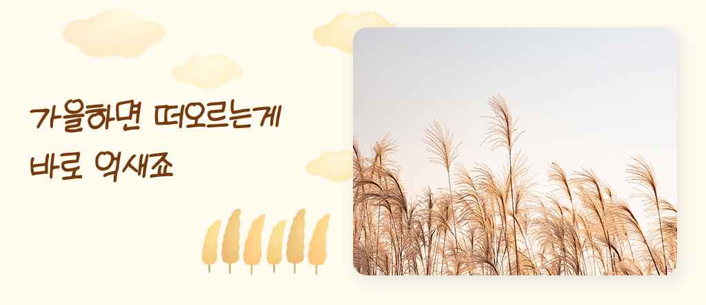 가을하면 떠오르는 억새의 그림