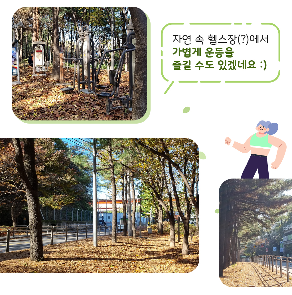 숲 속 운동기구 사진과 메타세콰이어 숲길의 내리막길 사진