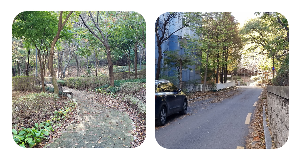 치현둘레 소공원 안에 있는 길 사진