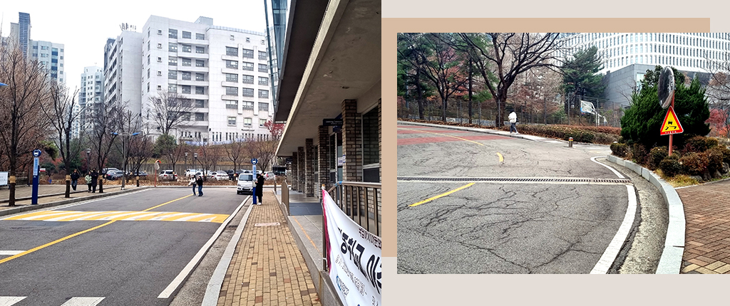 중앙도서관 옆 언덕 초입