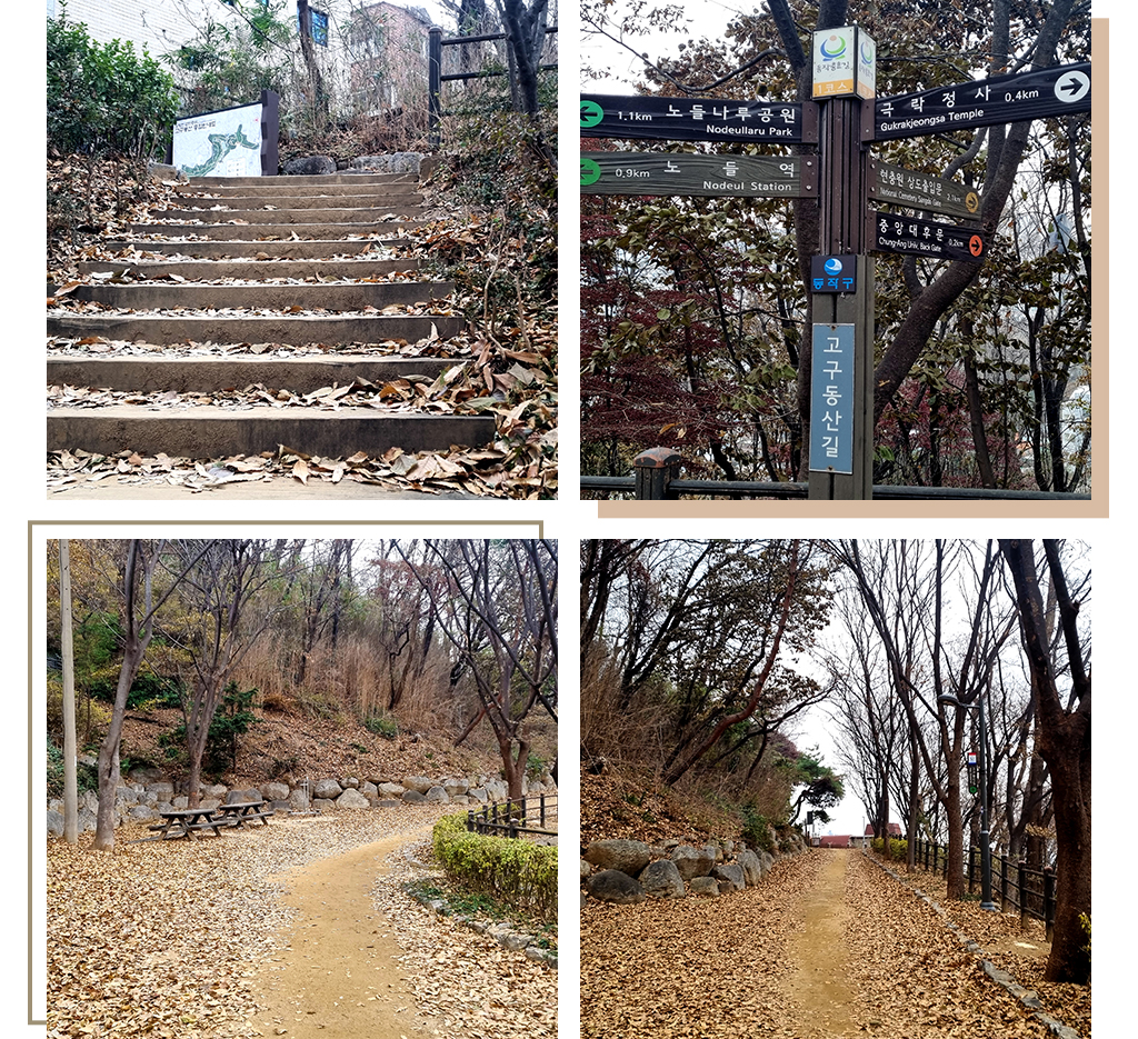 고구동산 산책로 사진