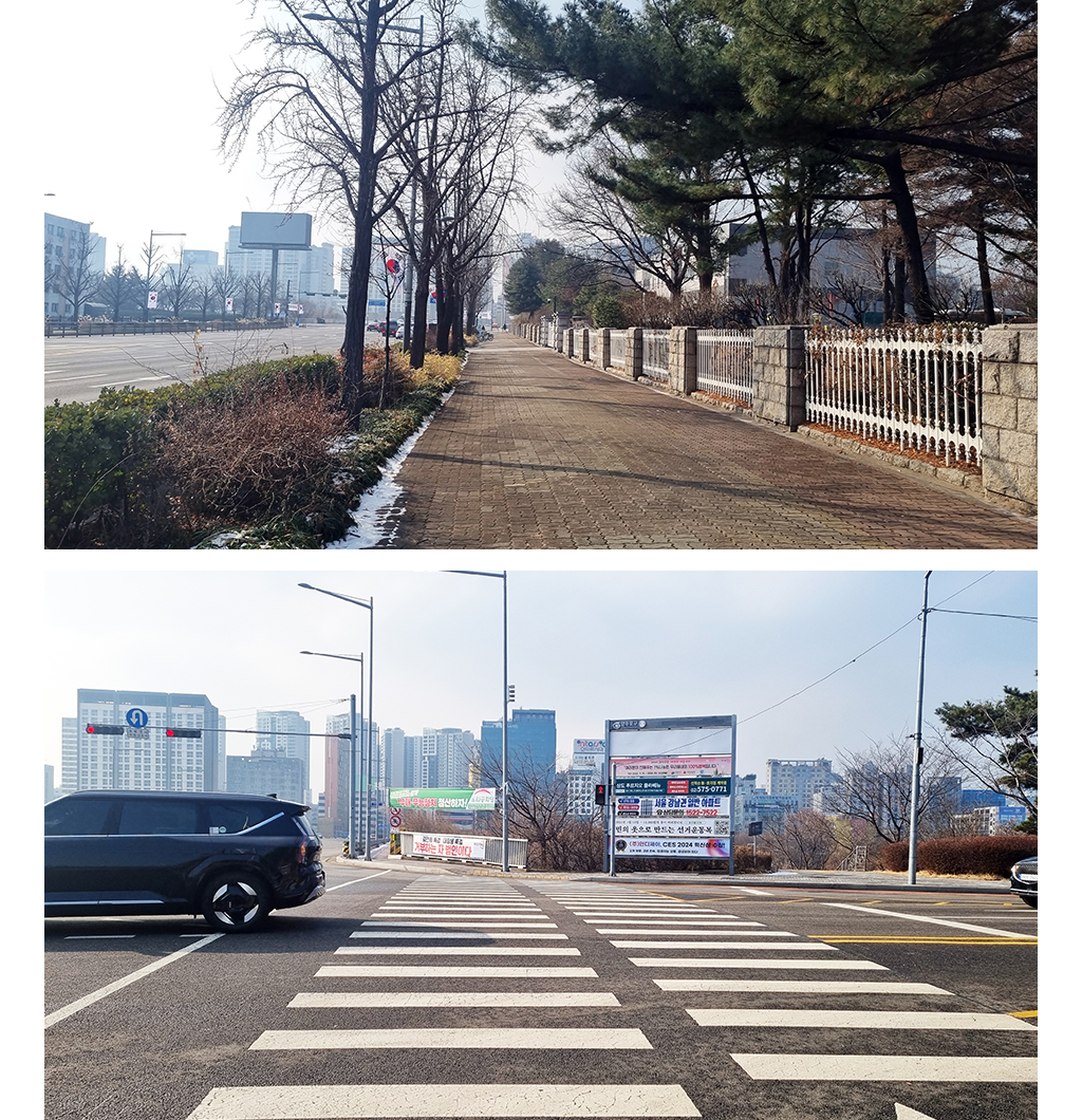 횡단보도 사진
