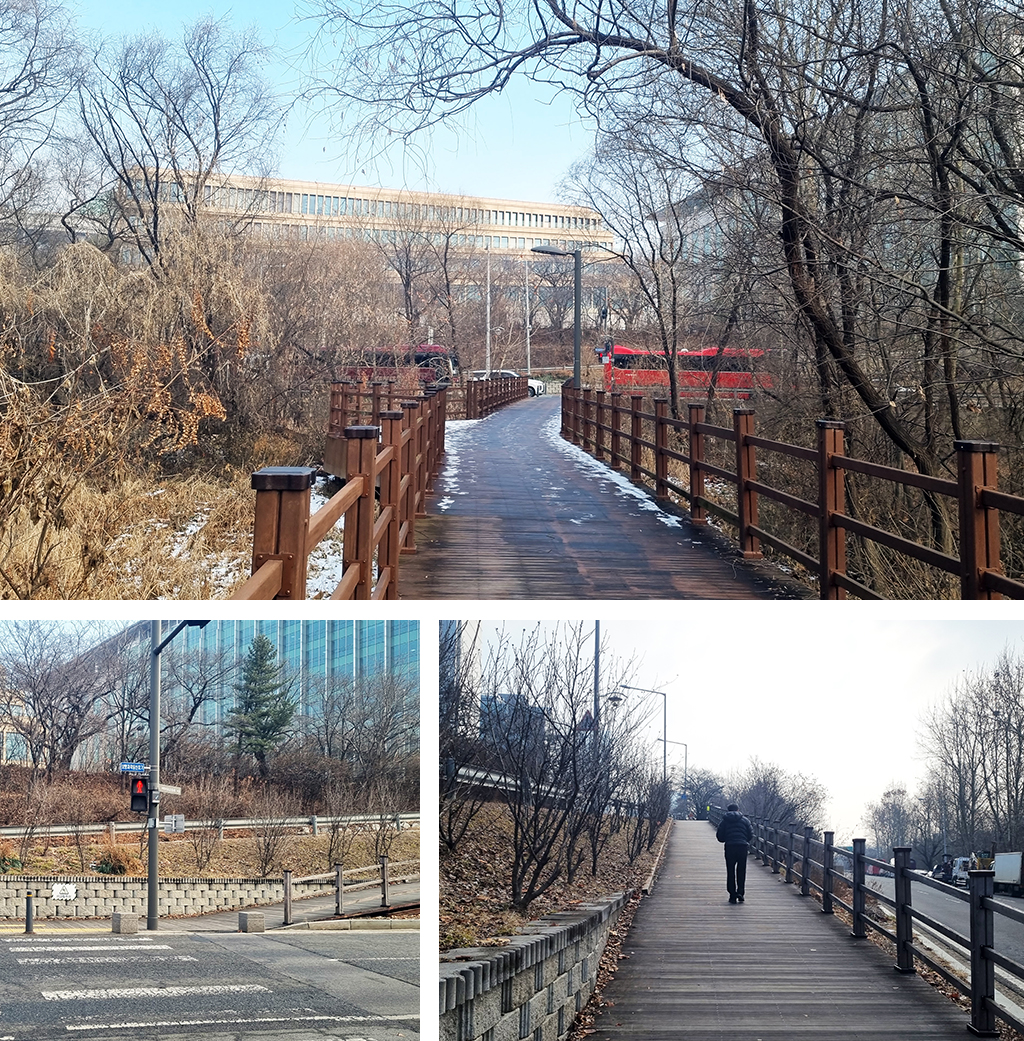 산책로, 횡단보도 사진