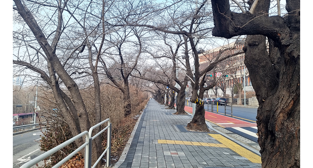 산책로 사진