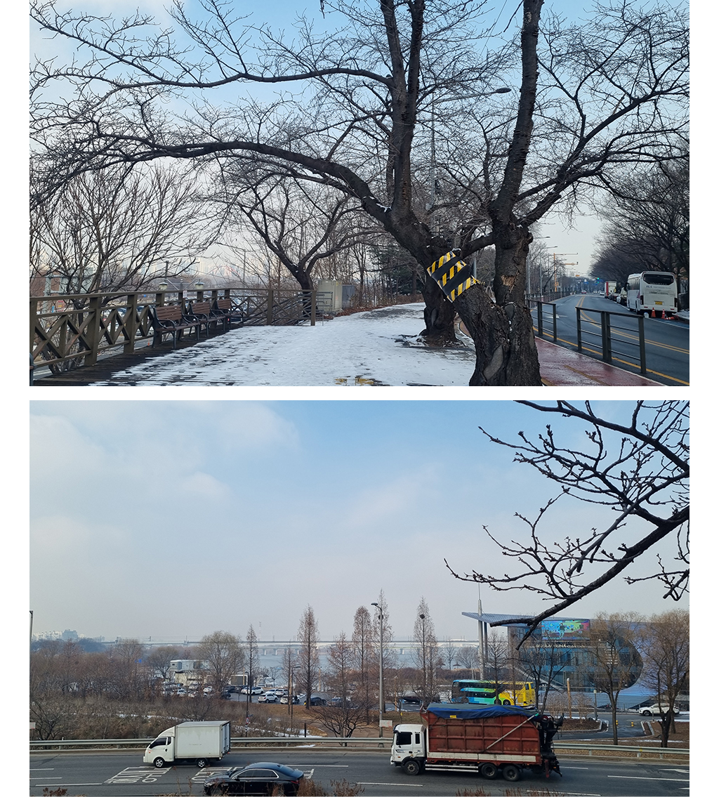 양화대교 사진
