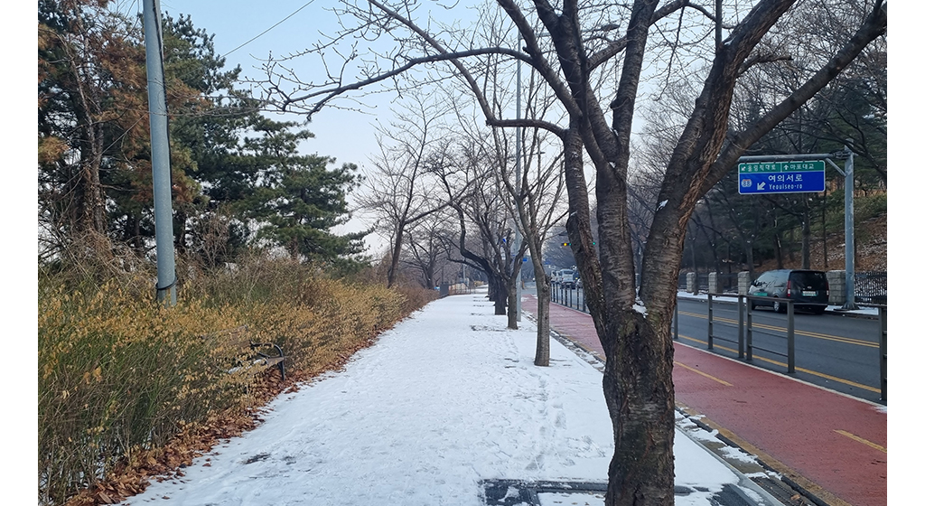 눈길이 쌓인 사진