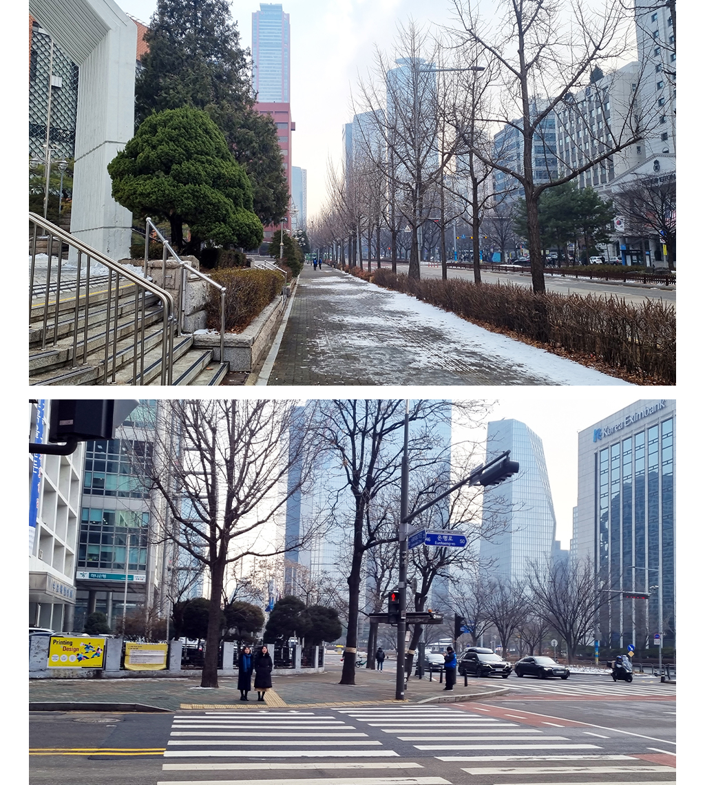 국회의사당 외곽길, 여의도공원 향하는 길 사진
