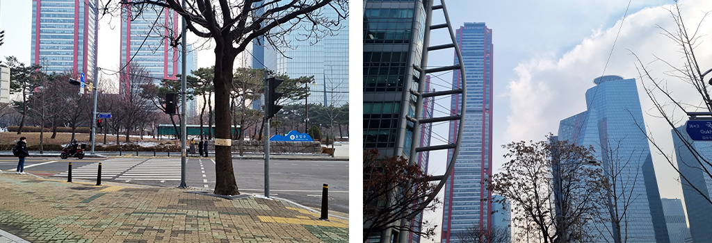 여의도 건물 사진