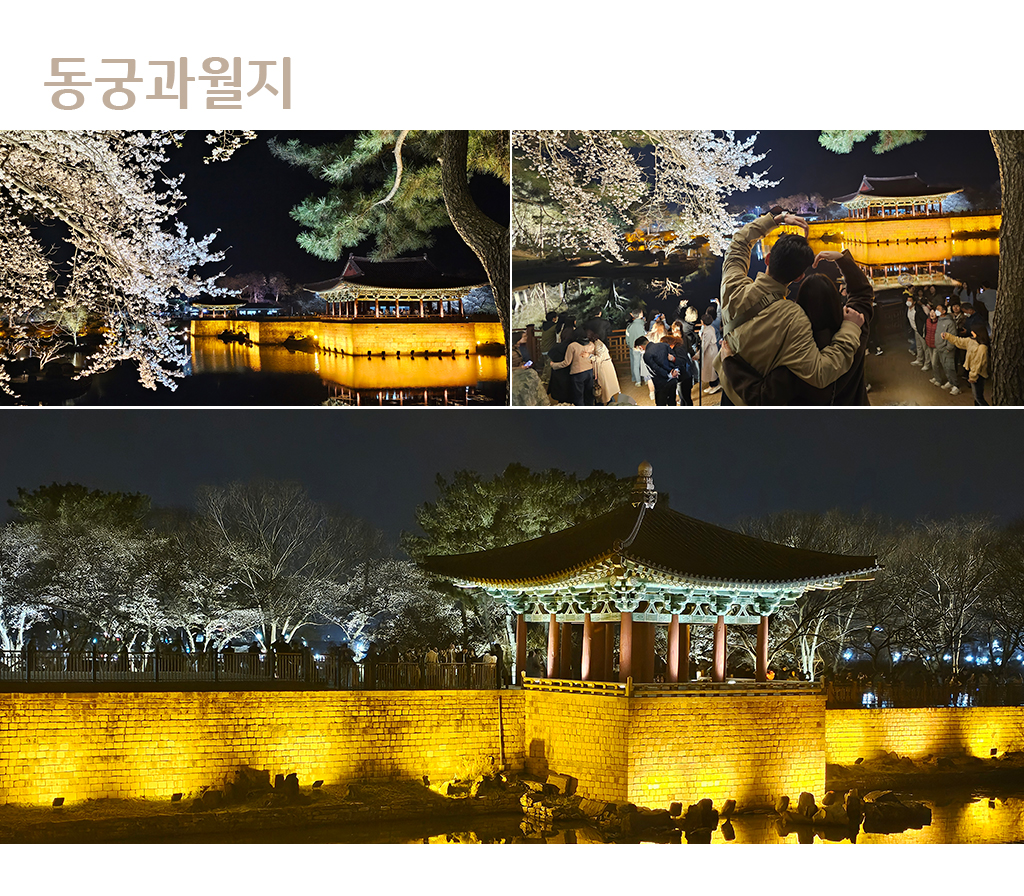 동궁과 월지 사진