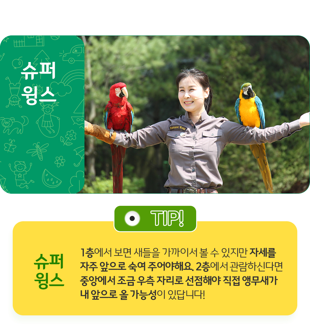 슈퍼윙스, 1층에서 보면 새들을 가까이서 볼 수 있지만 자세를 자주 앞으로 숙여 주어야해요. 2층에서 관람하신다면 중앙에서 조금 우측 자리로 선점해야 직접 앵무새가 내 앞으로 올 가능성이 있답니다!
