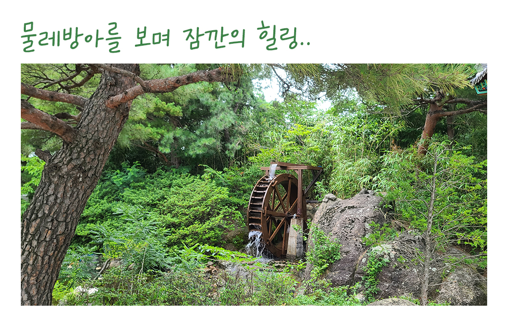물레방아를 보며 잠깐의 힐링