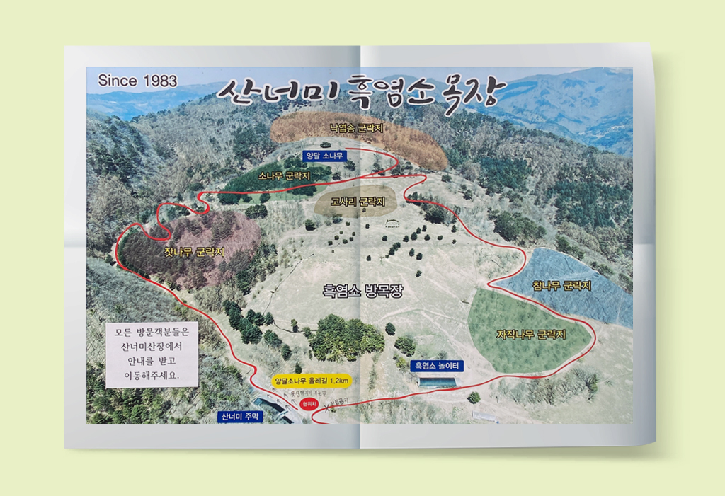 육백마지기 지도사진