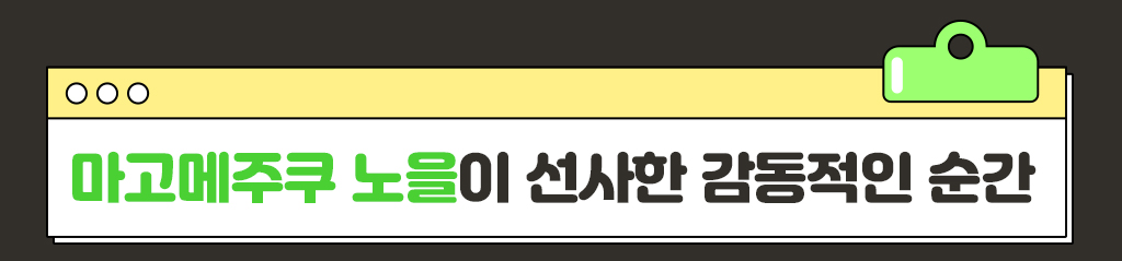 마고메주쿠 노을이 선사한 감동적인 순간