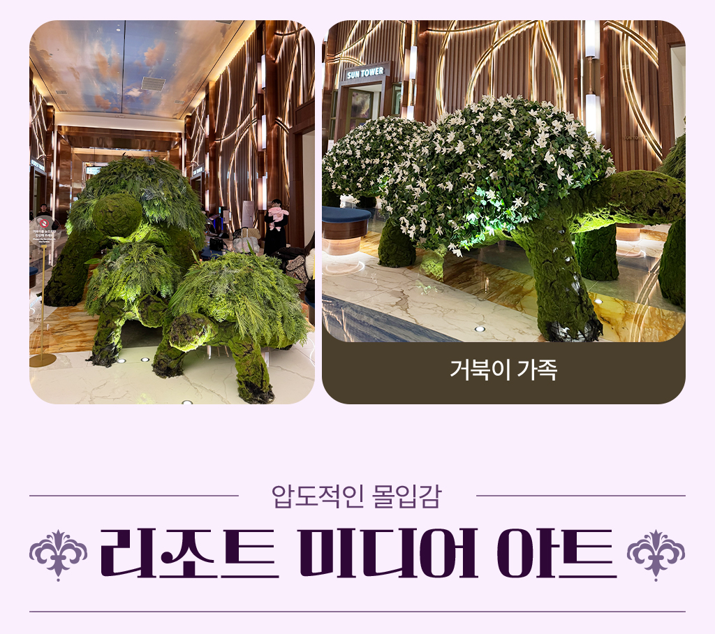 거북이 가족 사진, 압도적인 몰입감 리조트 미디어 아트