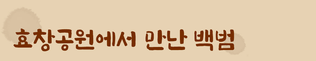 효창공원에서 만난 백범